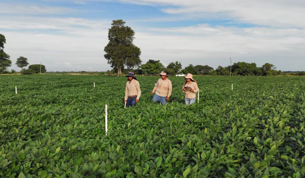 Actividad de campo del programa