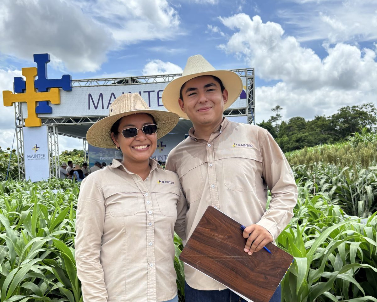 Dos participantes del programa en un lote de sorgo, durante una jornada a campo de Mainter